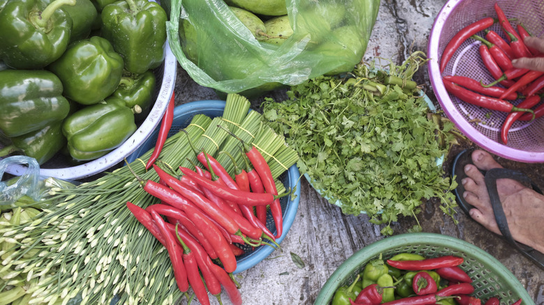 Fresh fruit and vegetables including mangoes, green peppers; red chillies; coriander and edible flowers.