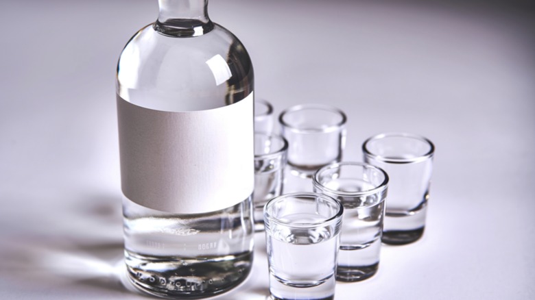 Bottle of vodka alongside shot glasses