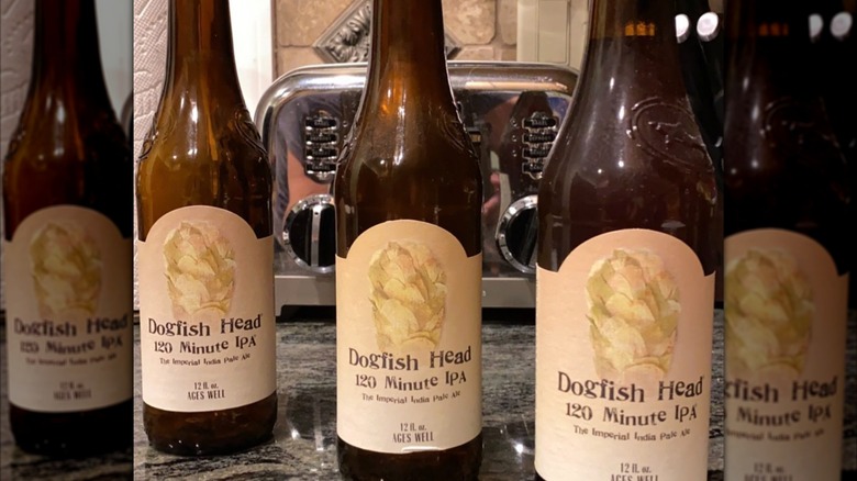 Mirror image of 12 ounce bottles of Dogfish Head 120 Minute IPA