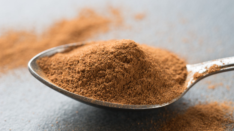 Ground cinnamon in a spoon