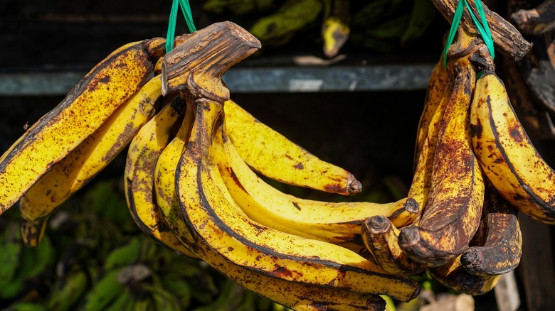 Overripe bananas hanging outside