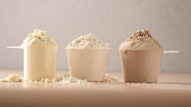 scoops of protein powder