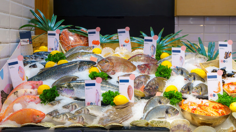 Assortment of fresh fish on ice with lemons and parsley