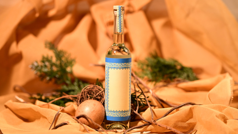 A bottle of mezcal with a blank label in front of red rocks and a traditional copita