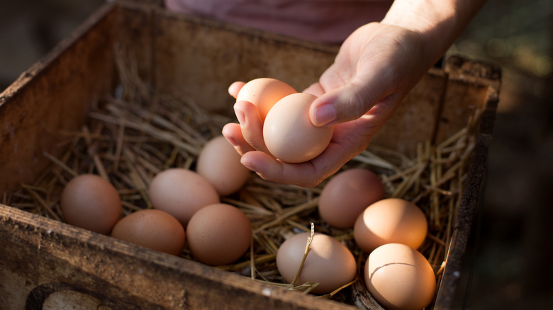 A person selects two farm-fresh eggs from a straw-filled box