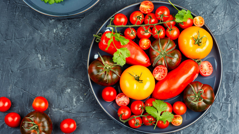 A bowl featuring a wide variety of tomatoes.