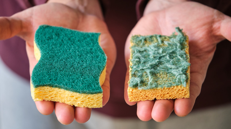 Person holding a new kitchen sponge in one hand and an old, tattered sponge in the other.