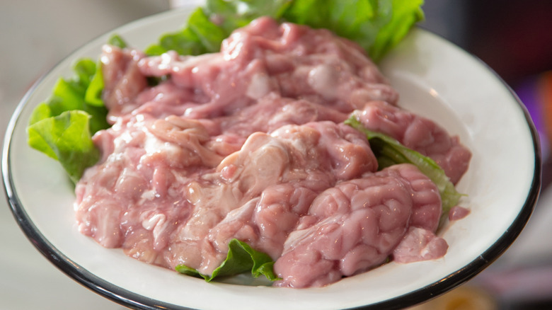Plate of pig brains