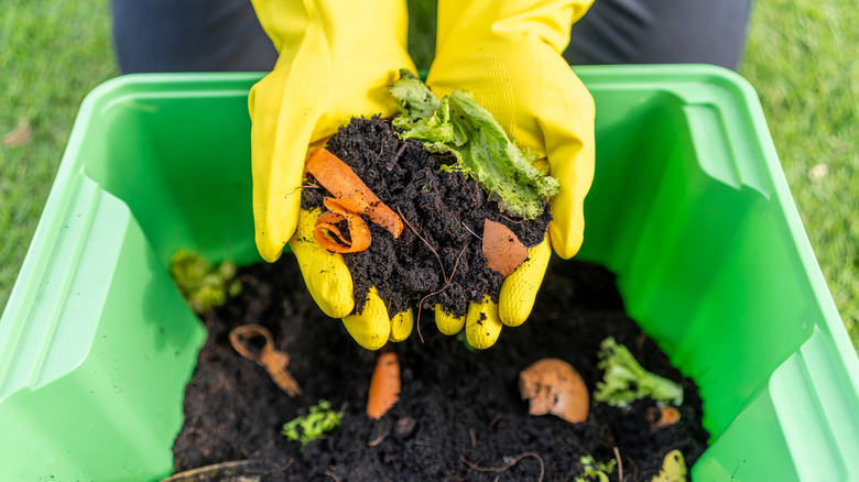 A pile of compost with vegetable scraps and eggshells