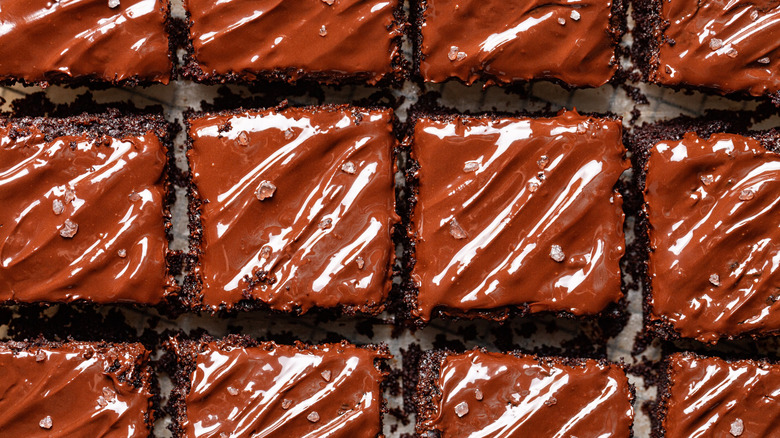 Squares of chocolate cake topped with glossy melted chocolate and sea salt