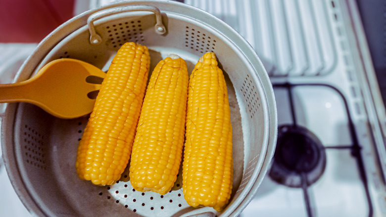Corn on the cob sit in a pot on the stove
