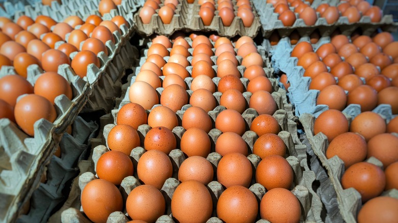 Dozens of brown eggs lined up in cartons.