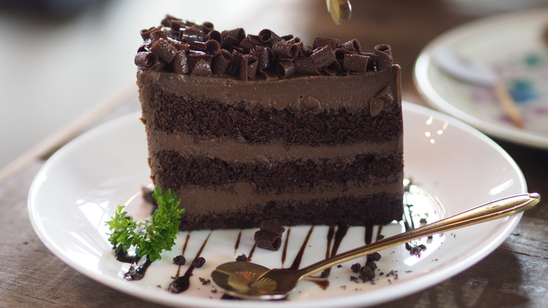 A multi-layered chocolate cake sits on a white plate