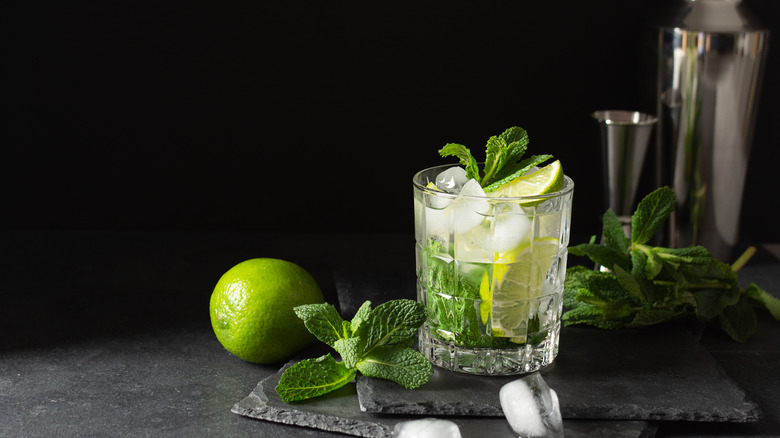 mint mojito