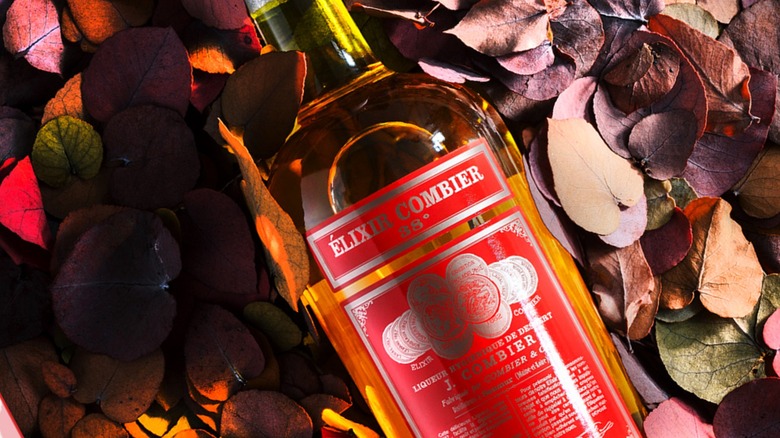 closeup bottle of elixir combier