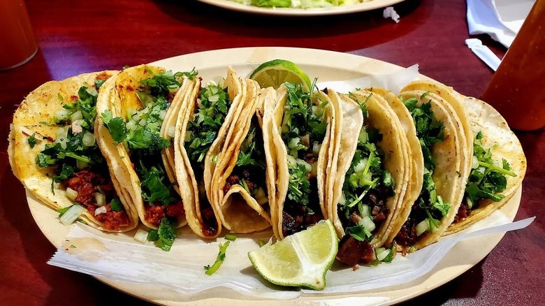 Eight tacos on a white plate