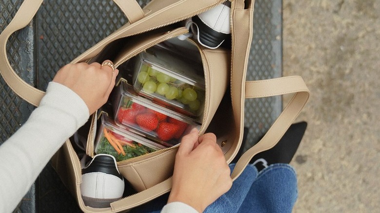 Modern Picnic bag full of food