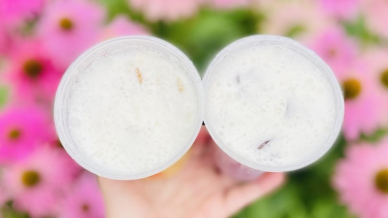 Overhead view of hand holding new Daydream Refreshers from Dunkin'