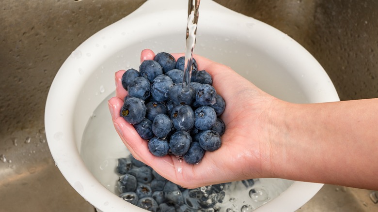 Person washing blueberries in sink