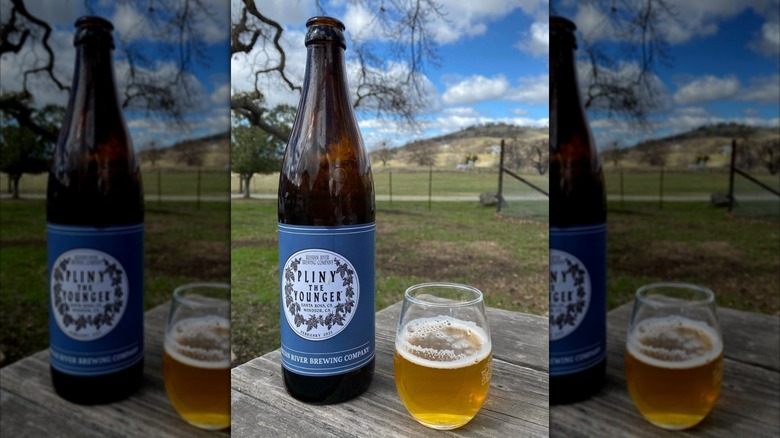 Bottle of Pliny the Younger beer next to a glass of beer