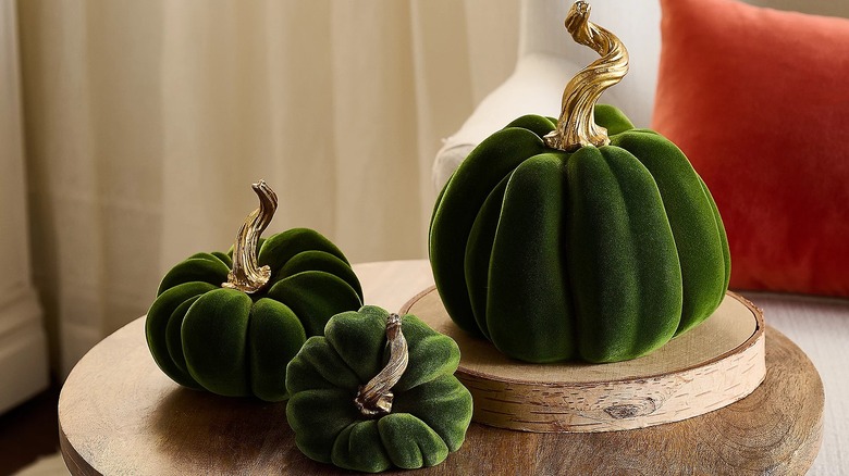 Three black velvet pumpkins with deep jade undertones and curling golden stems sit on a wooden table