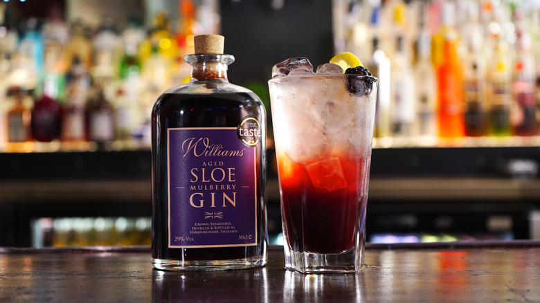 A sloe gin fizz cocktail, on a bar, with a bottle of Williams Sloe Gin beside it