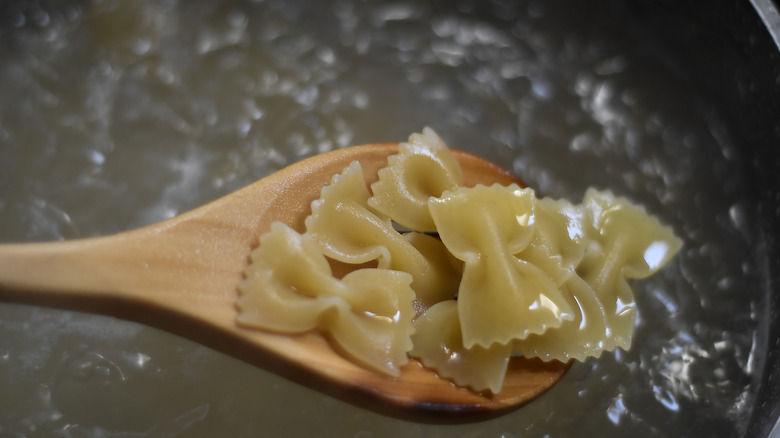 Spoonful of pasta over boiling water