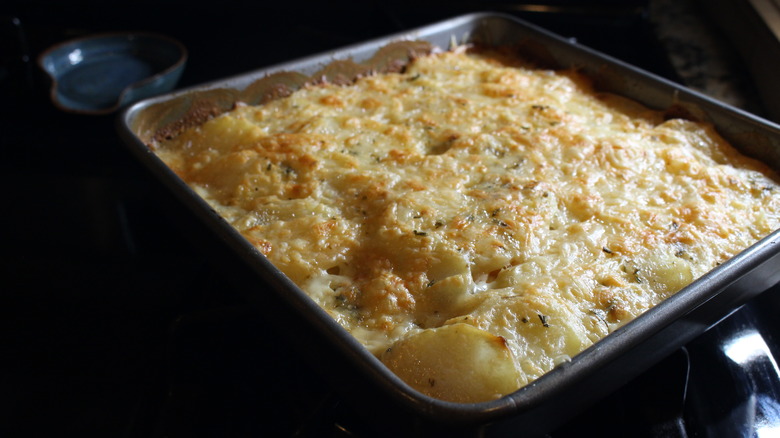 browned gratin in baking dish