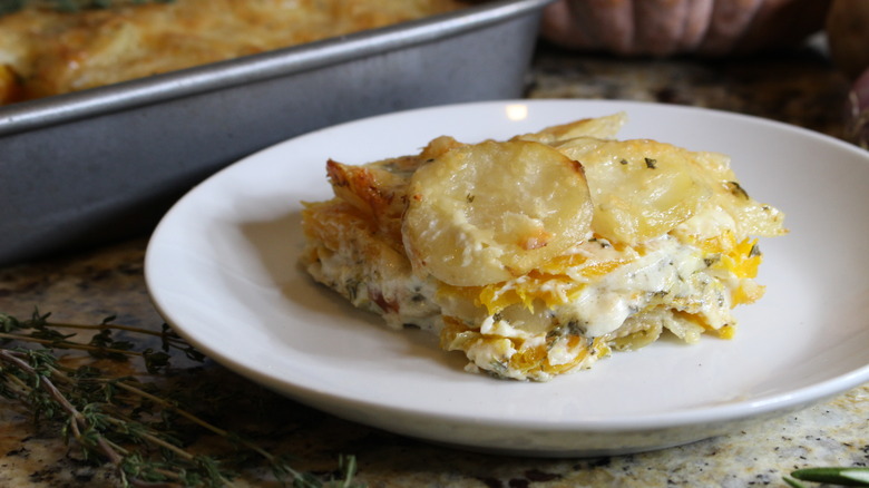 potato and pumpkin gratin slice on white plate