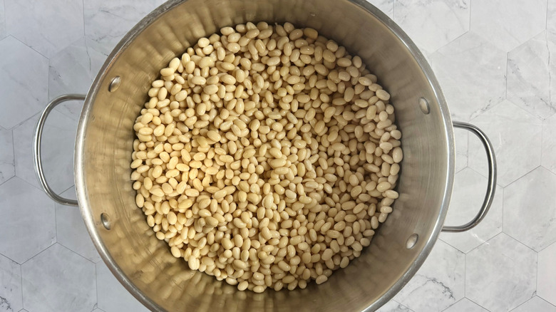 drained navy beans in pot