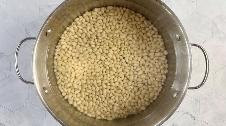 navy beans with water in pot
