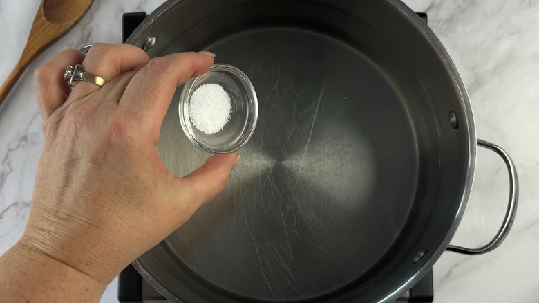 hand holding salt over pot