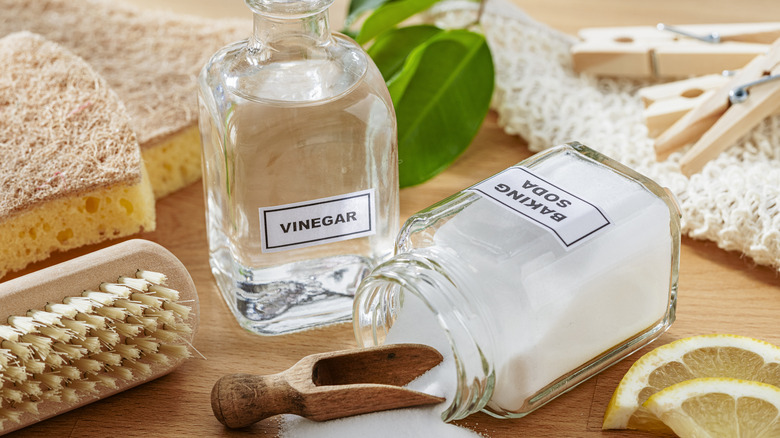 Two glass containers with vinegar and baking soda