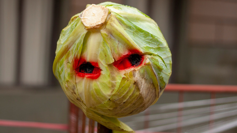 A head of a cabbage attached to a fencepost has holes cut out and painted red to look like creepy eyes