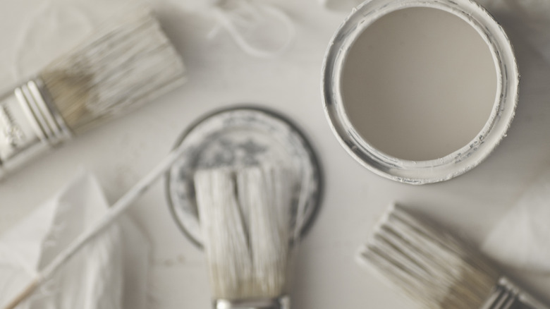 white paint and brushes overhead view