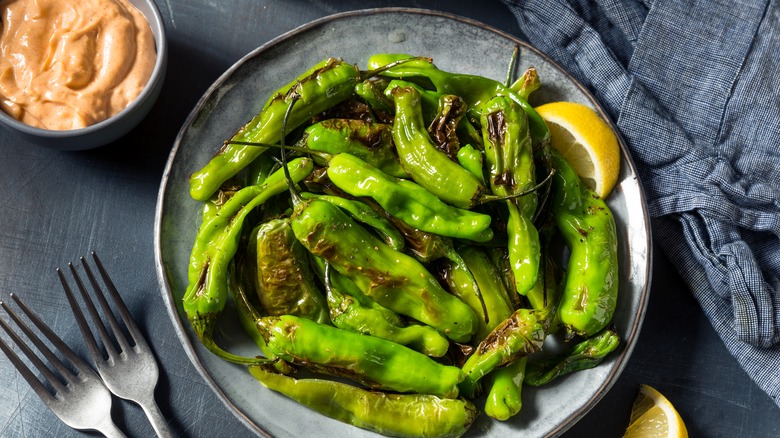 blistered shishito peppers